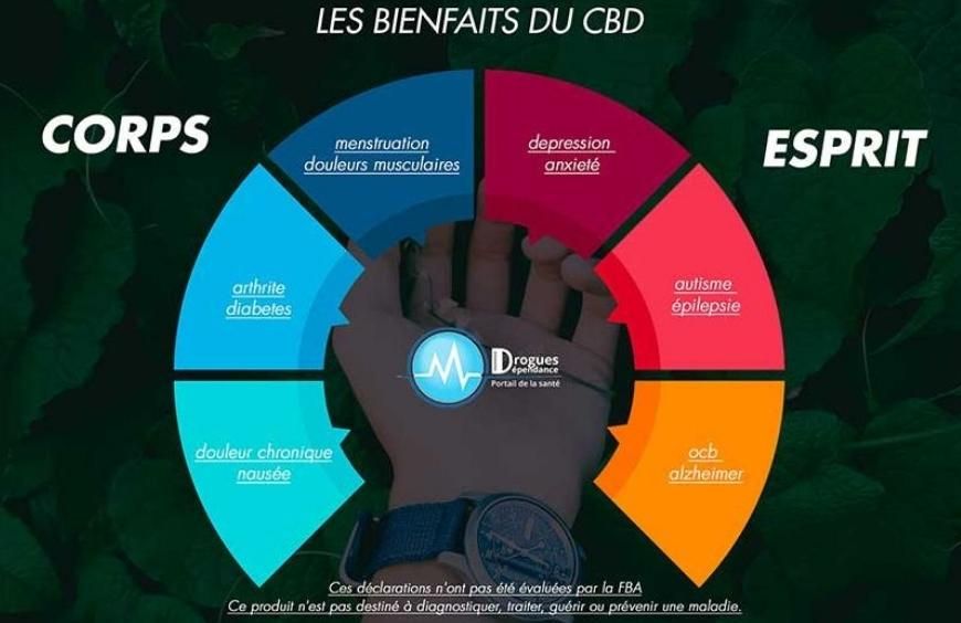 Quels sont les bienfaits et vertus potentielles de l'huile de CBD ?