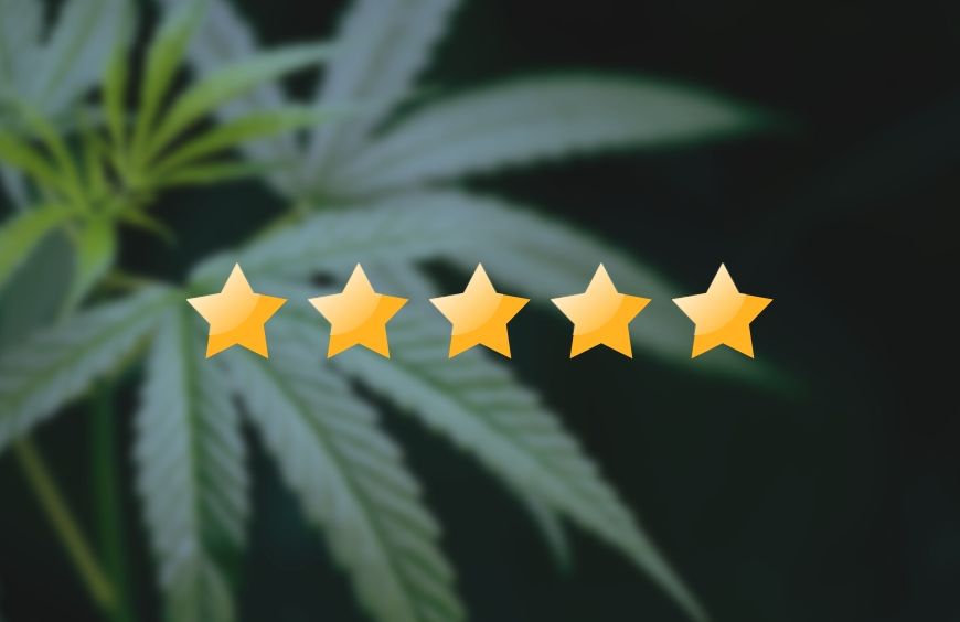 Huiles de CBD : quels sont les avis des consommateurs ?