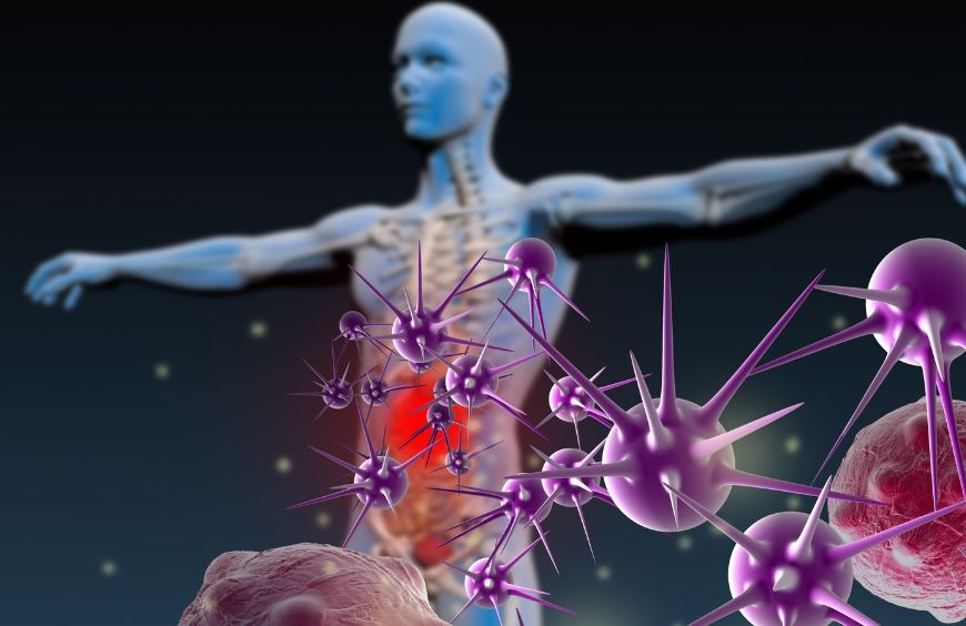 Le CBD agit-il sur le système immunitaire ?