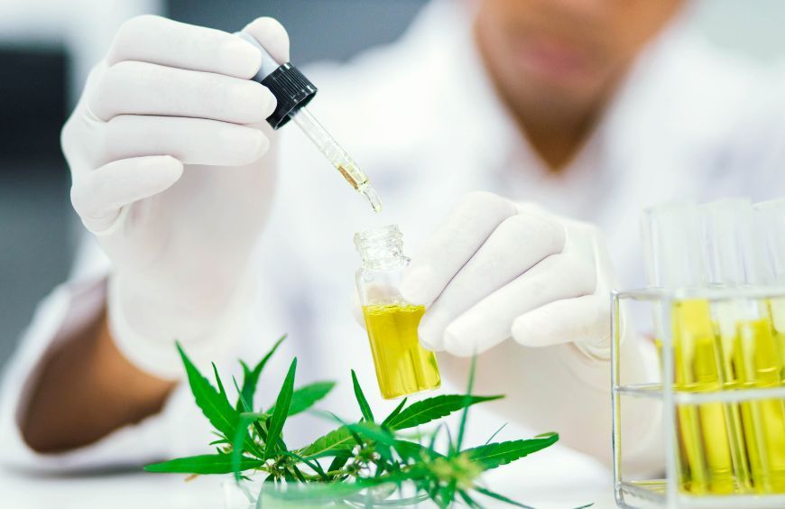 Le CBD : une molécule pour apaiser les symptômes de certaines maladies ?