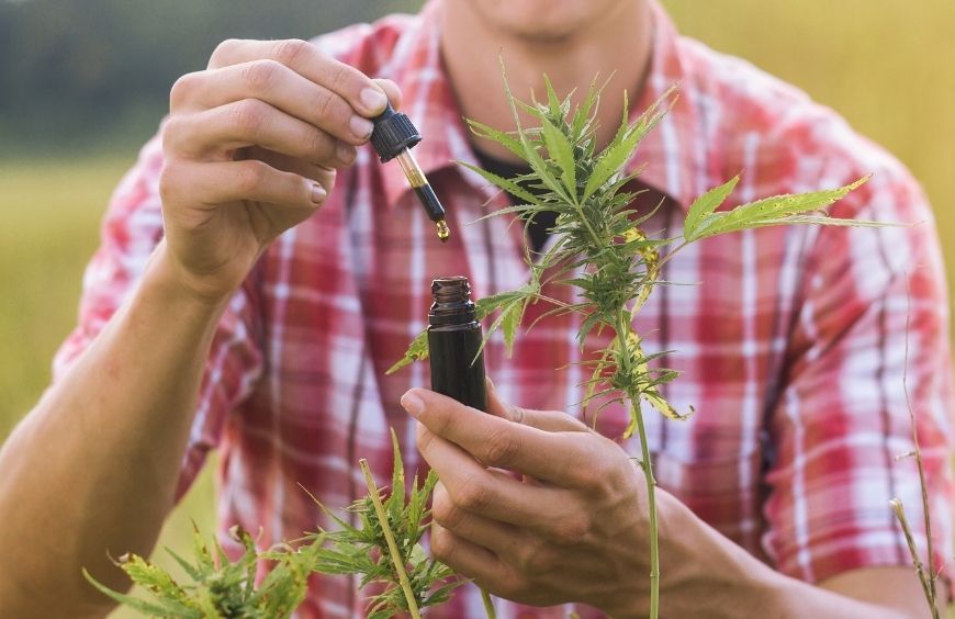 Huiles, fleurs, infusions ou cosmétiques : quelle forme de CBD choisir ?