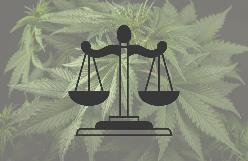 CBD légal en France : tout ce qu’il faut savoir