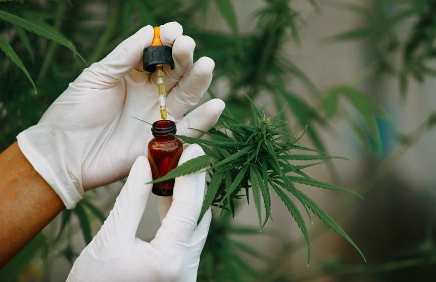 Qu'est-ce que l'effet d'entourage ?