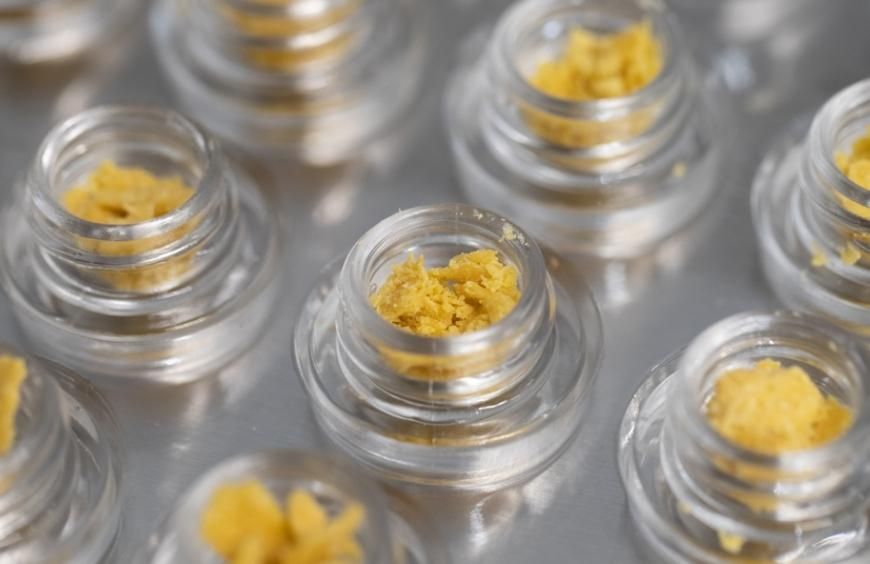 Qu’est-ce que le HHC ? Différence avec le THC 