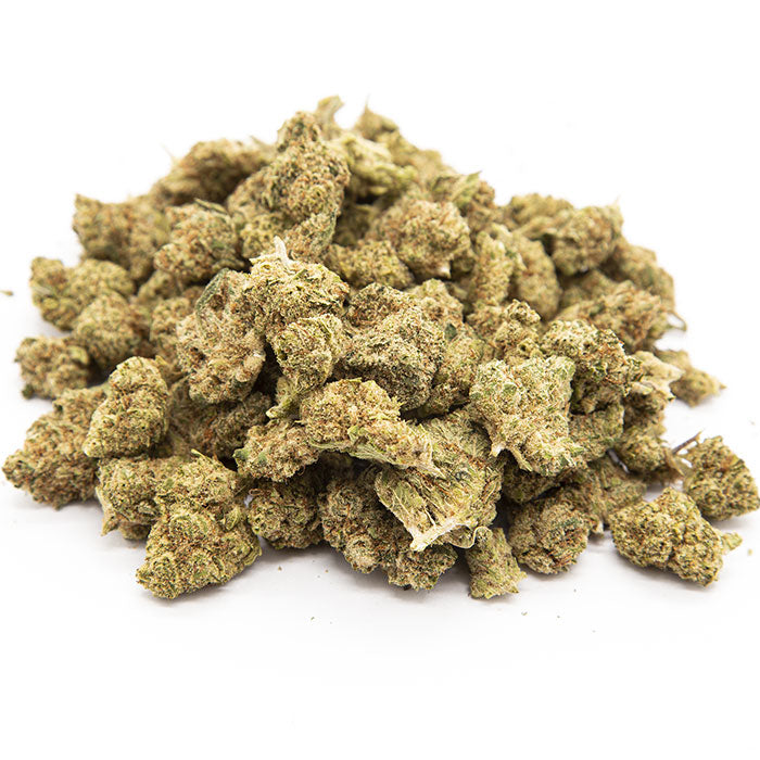 Small bud Indoor Premium