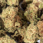 Small bud Indoor OG Kush 14%