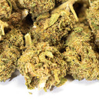 Small Bud Gelato Indoor