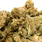 Small Bud Amnésia Greenhouse