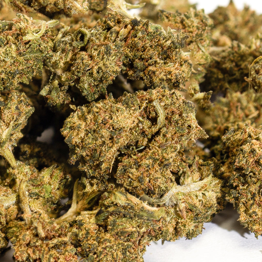 Small Bud Super Lemon